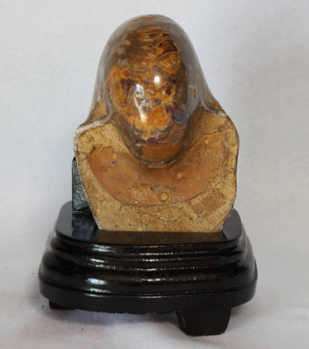 ☆オーム貝 化石 大きい ☆送料無料 ☆台座付き メノウ化 約688g 最大